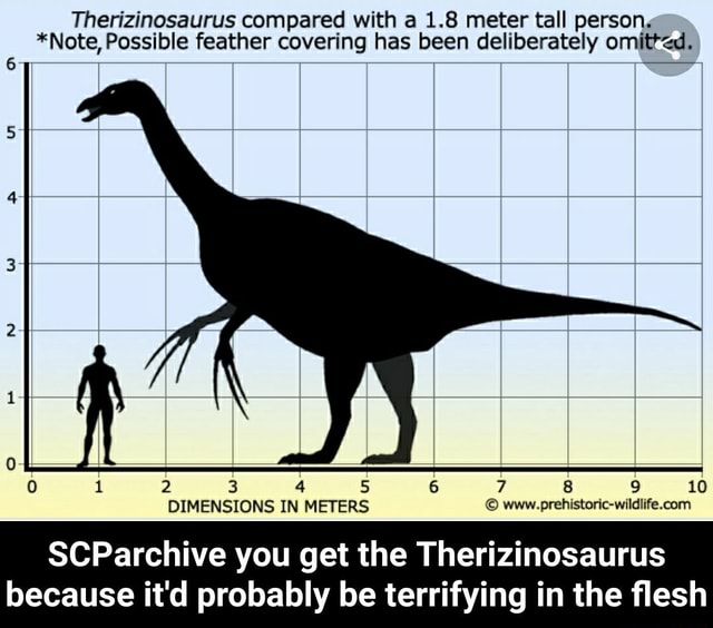 Therizinosaurus compared with a 1.8 meter tall person, *Note, Possible ...