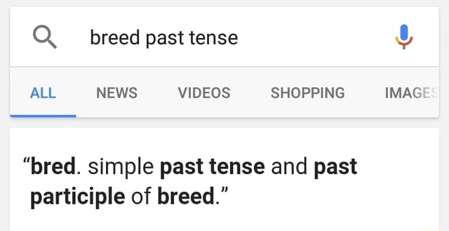 Bred Simple Past Tense And Past Participle Of Breed