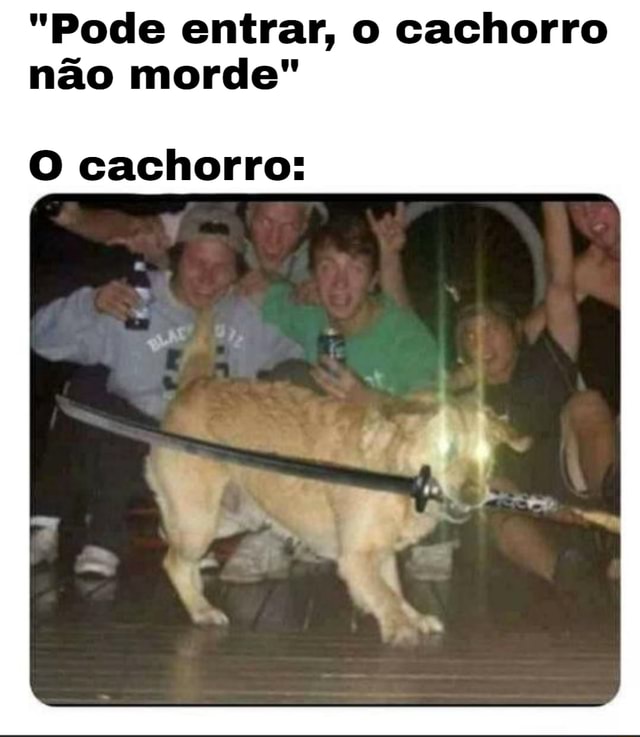 Pode Entrar O Cachorro N O Morde O Cachorro Ifunny Brazil