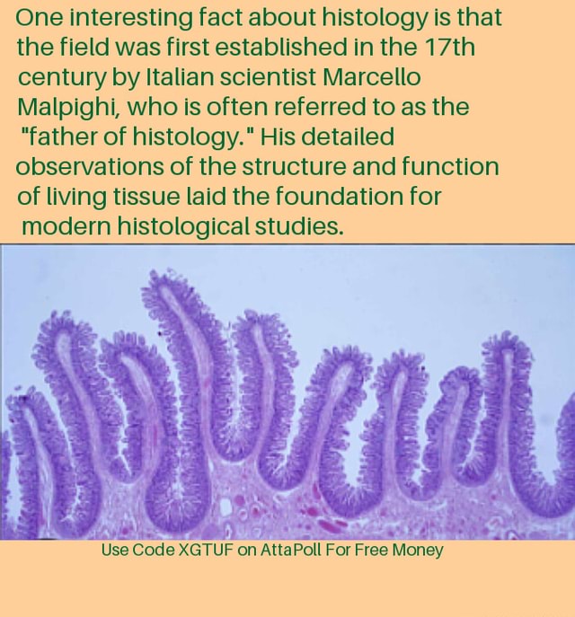 One interesting fact about histology is that the field was first ...