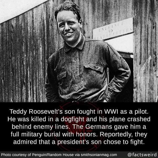 Teddy Roosevelt's son fought in WWI as a pilot. He was killed in a ...