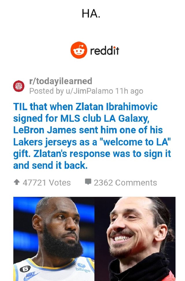 LeBron James, Whose Gift Was Bluntly Returned By “Crazy A**” Zlatan  Ibrahimovic, Dished Out 5 Words for the LA Galaxy Legend in 2020 -  EssentiallySports