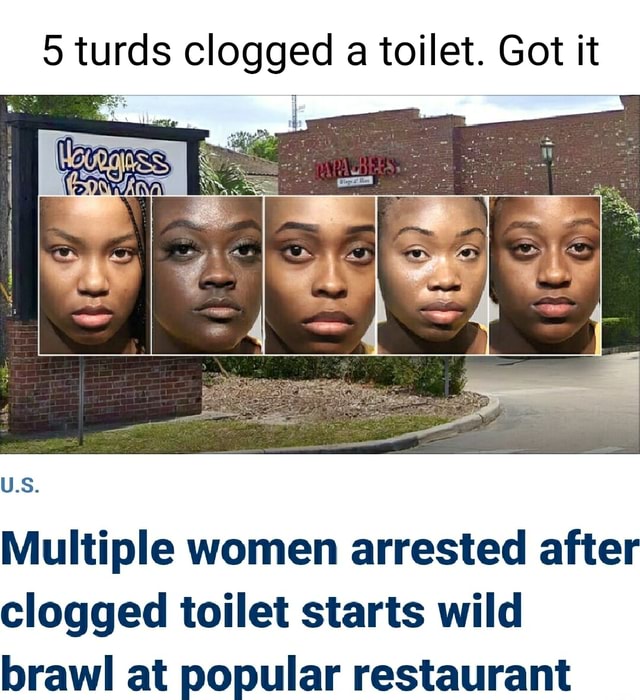 5 turds clogged a toilet. Got it I Multiple women arrested after