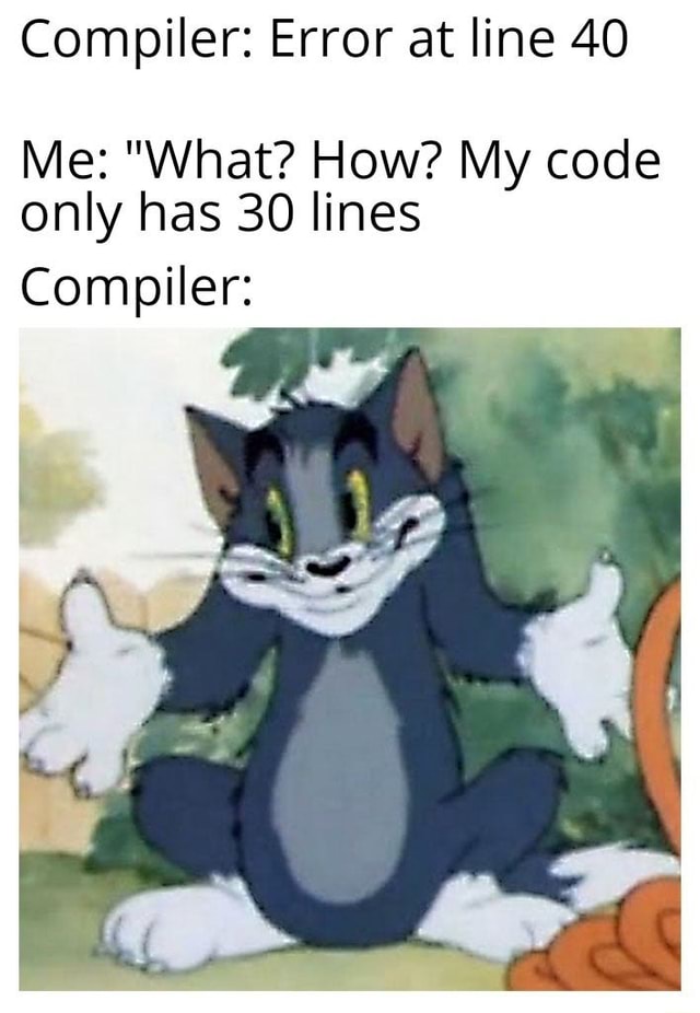 Compiler Error At Line 40 Me What How My Code Only Has 30 Lines Compiler