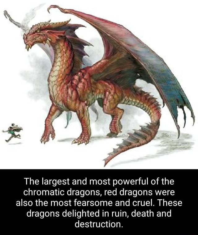 The largest and most powerful of the chromatic dragons, red dragons ...