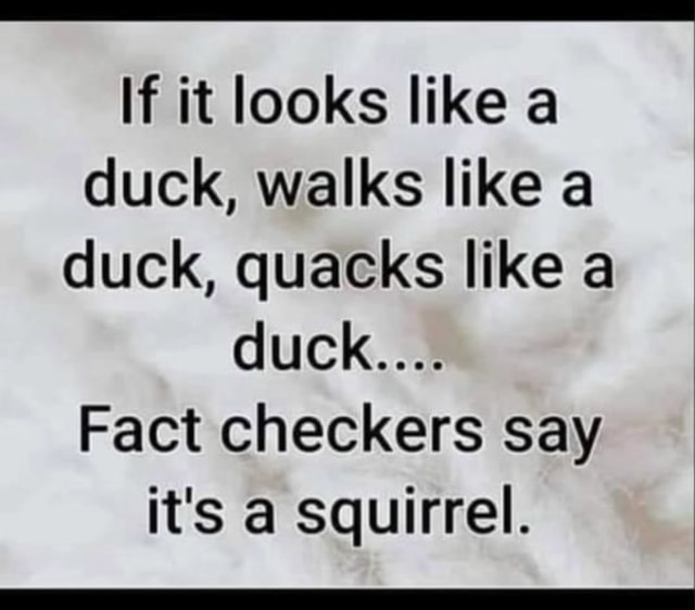 If it looks like a duck, walks like a duck, quacks like a duck.... Fact ...