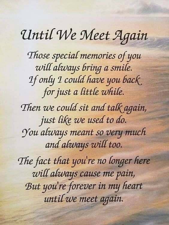 Until We Meet Again Those special memories of you will always bring a ...