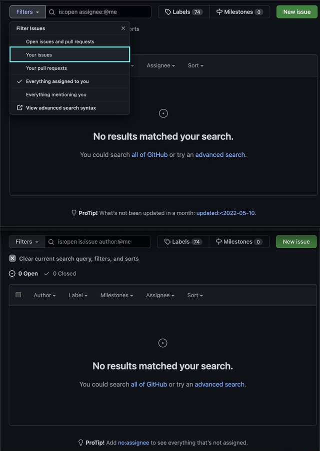Filters I Q Q Labels 74 Milestones 0 New issue Filter Issues orts Open