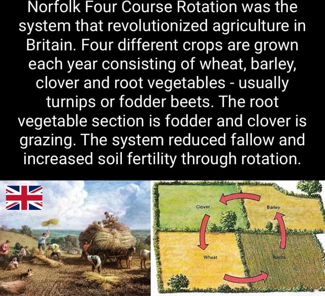 Norfolk Four Year Crop Rotation Traditional Mixed Farming | Page 13