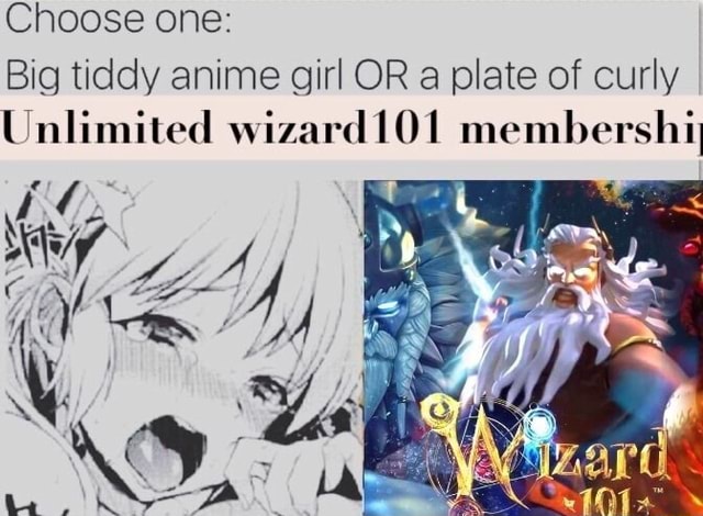 Choose one: Big tiddy anime girl OR a plate of curIy [inlimited wizard