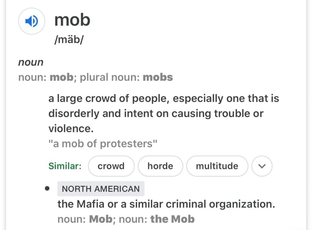 noun-noun-mob-plural-noun-mobs-a-large-crowd-of-people-especially