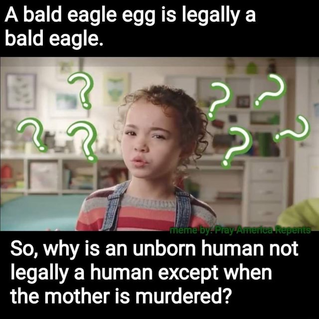 A bald eagle egg is legally a bald eagle. So, why is an unborn human