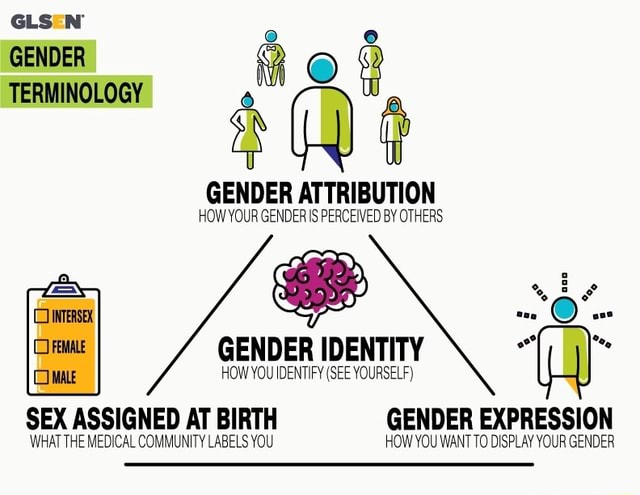 Glsen Gender Terminology Gender Attribution How Your Gender Is Perceived By Others En 6 Is 