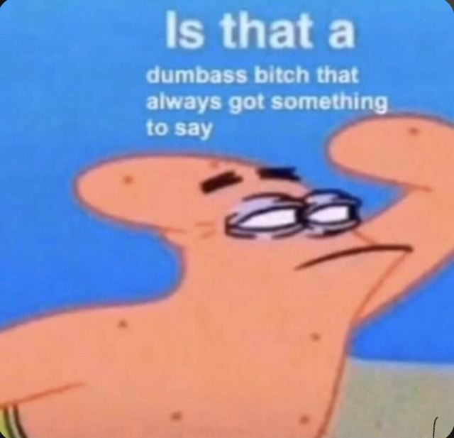 Is that a dumbass bitch that always got something to say - iFunny