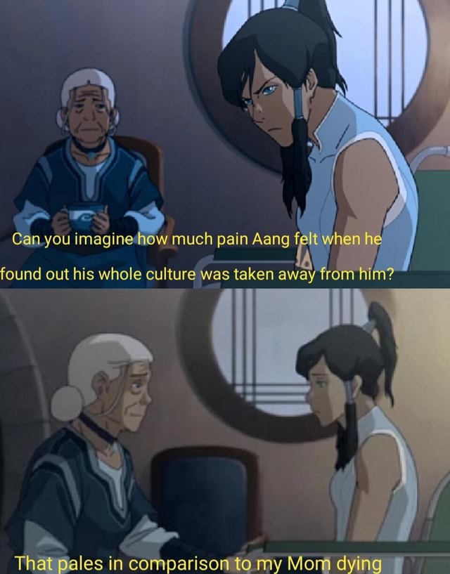 Can you i imagi ne' much pain Aang fal when found out his whole culture ...