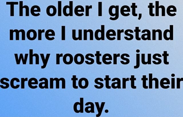 The Older I Get, The More I Understand Why Roosters Just Scream To 