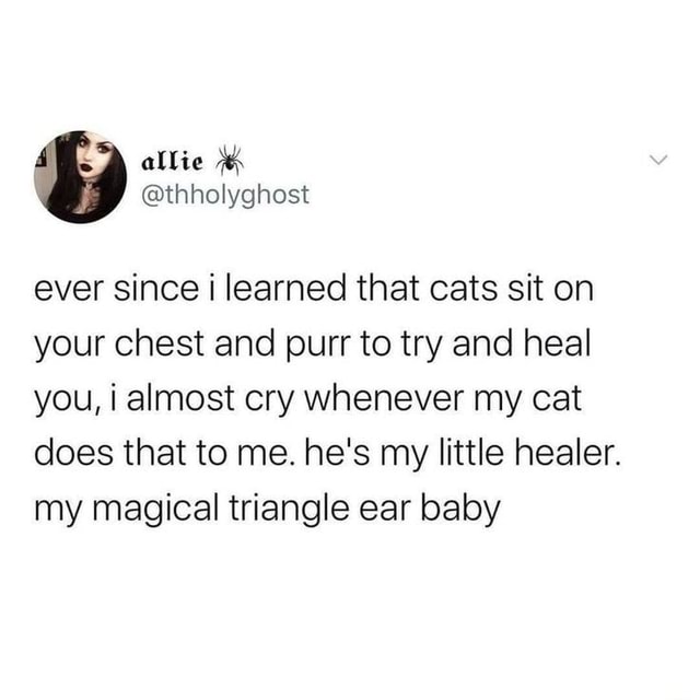 Allie thholyghost ever since learned that cats sit on your chest and