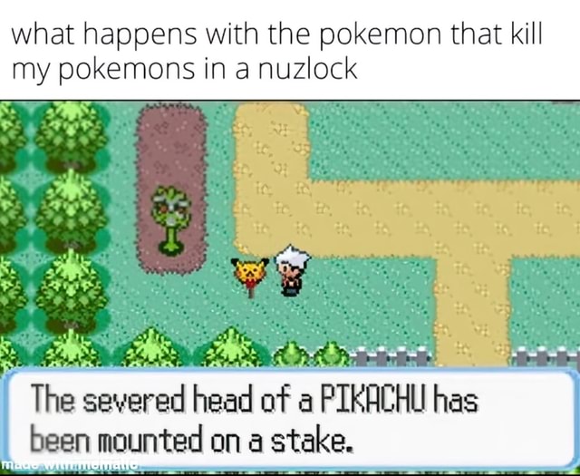 What happens with the pokemon that kill my pokemons in a nuzlock The ...