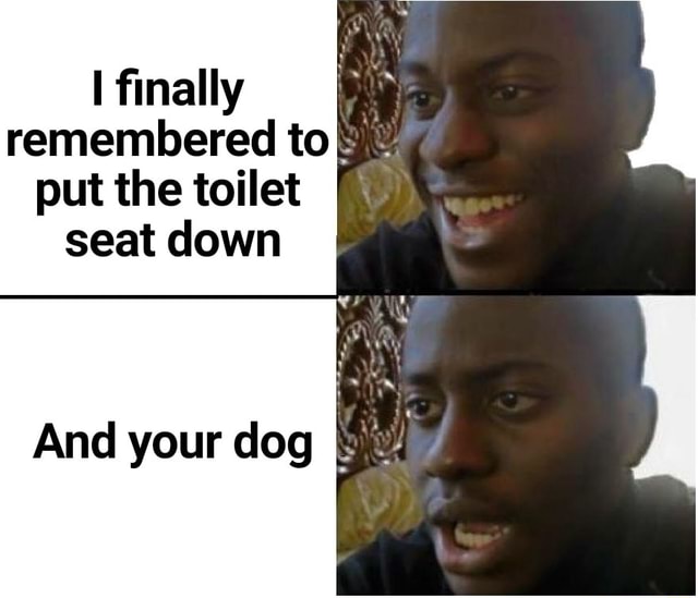 Finally remembered to put the toilet seat down And your dog iFunny