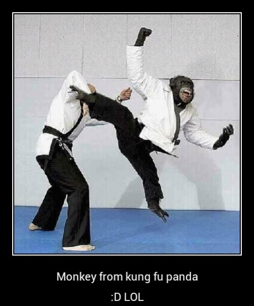 Monkey from kung fu panda - Monkey from kung fu panda :D LOL - iFunny :)
