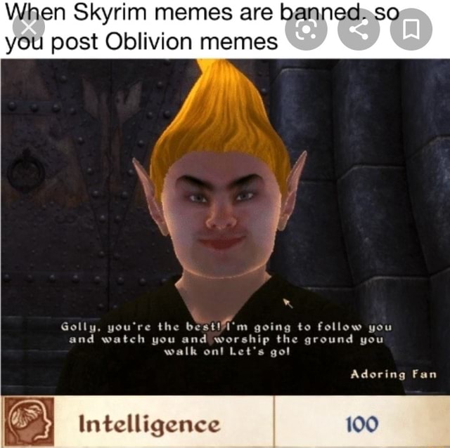 When Skyrim Memes Are Bannedaso You Post Oblivion Memes Ifunny