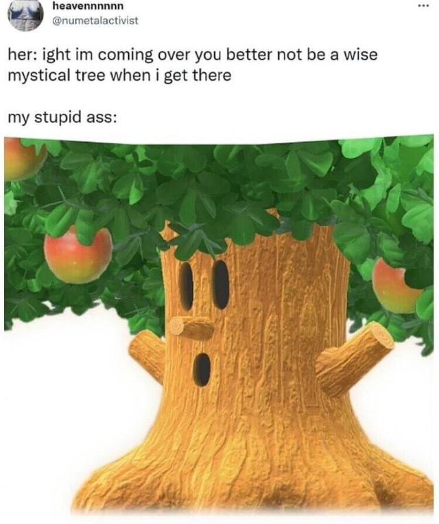 Pokemon wise and mystical tree