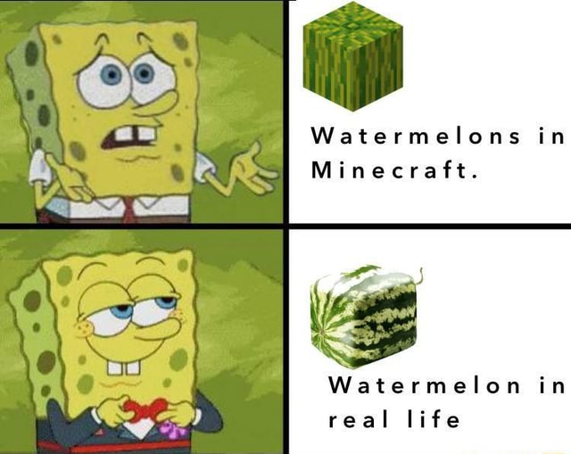 Watermelons in Minecraft. Watermelon in real life iFunny