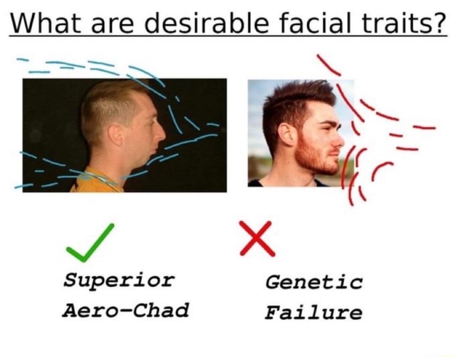 what-are-desirable-facial-traits-ss-superior-genetic-aero-chad-failure