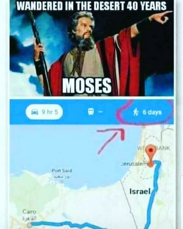 WANDERED THE DESERT 40 YEARS Israel America’s best pics and