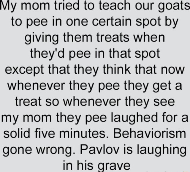 My mom tried to teach our goats to pee in one certain spot by giving