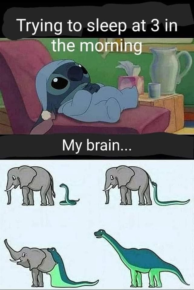 Trying to sleep at 3 in the morning My brain... - iFunny
