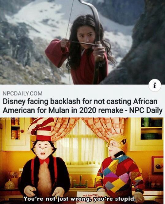 Disney Facing Backlash For Not Casting African American For Mulan In 2020 Remake Npc Daily Ifunny 