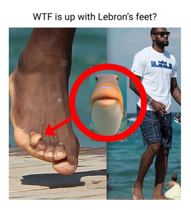 Lebrons clearance pinky toe