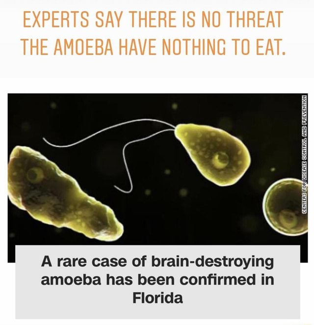 A rare case of braindestroying amoeba has been confirmed in Florida Fa