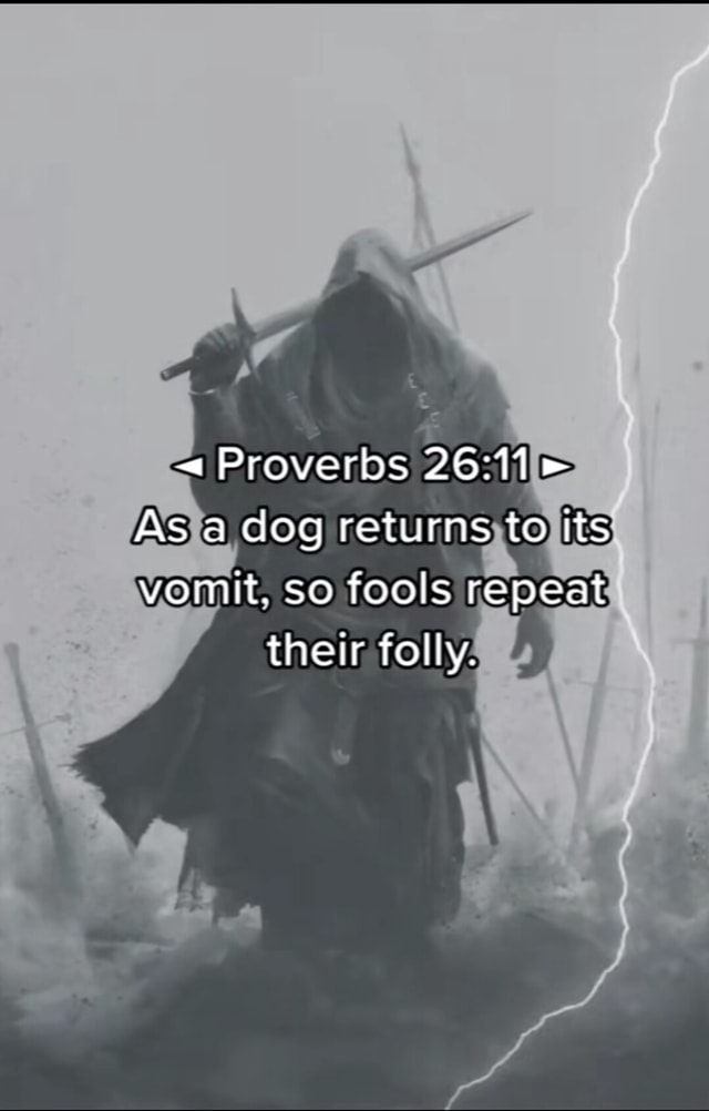 "Proverbs As a dog returns to its vomit. so fools repeat their folly