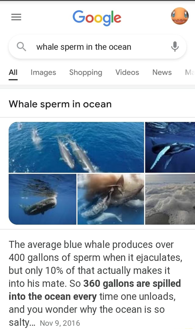 = Go gle whale sperm in the ocean All Images Shopping Videos News WM