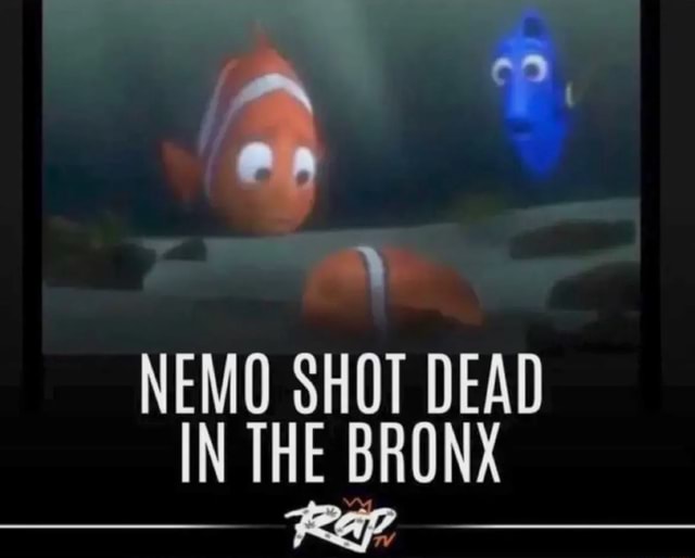 NEMO SHOT DEAD IN THE BRONX - iFunny