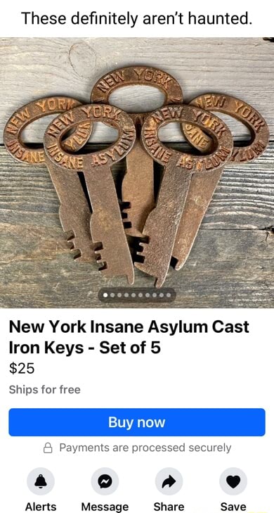 Nellie Bly: Undercover in New York's Notorious Asylum for the Insane Nellie Bly: Undercover in New York's Notorious Asylum for the Insane