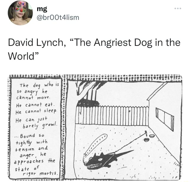 coo-david-lynch-the-angriest-dog-in-the-world-the-deg-who-is-so