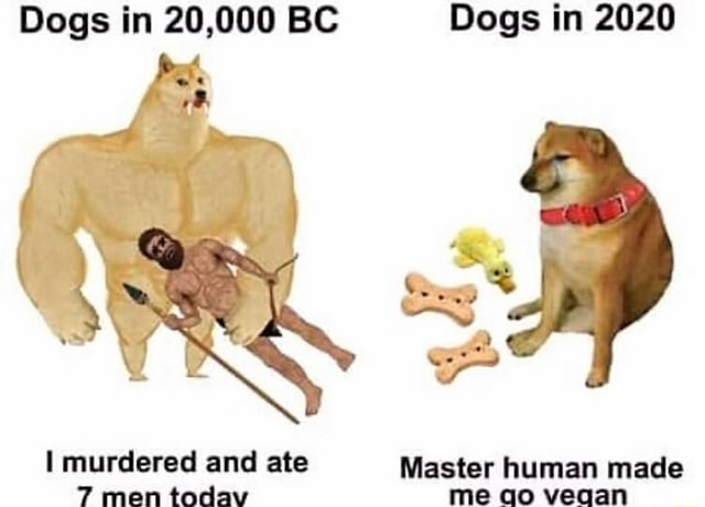 Dogs in 20,000 BC Dogs in 2020 I murdered and ate Master human made 7
