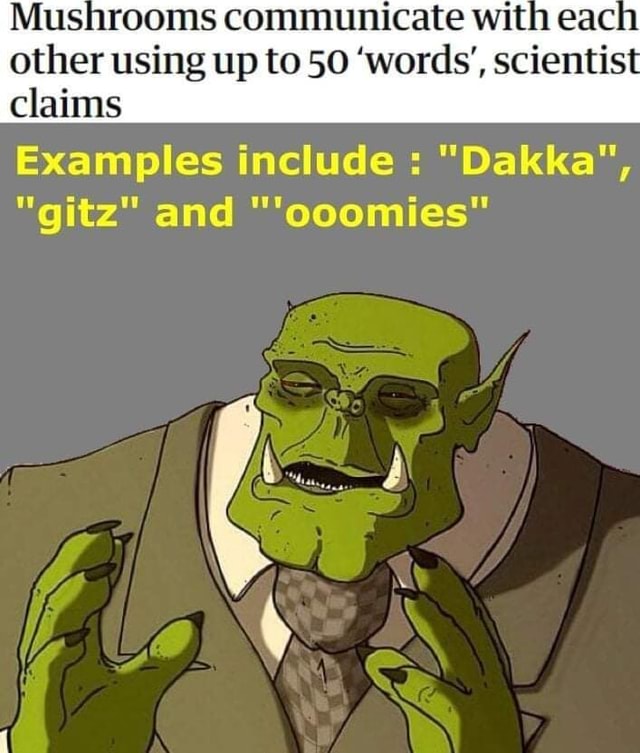 Mushrooms communicate with eac other using up to 50 'words', scientist