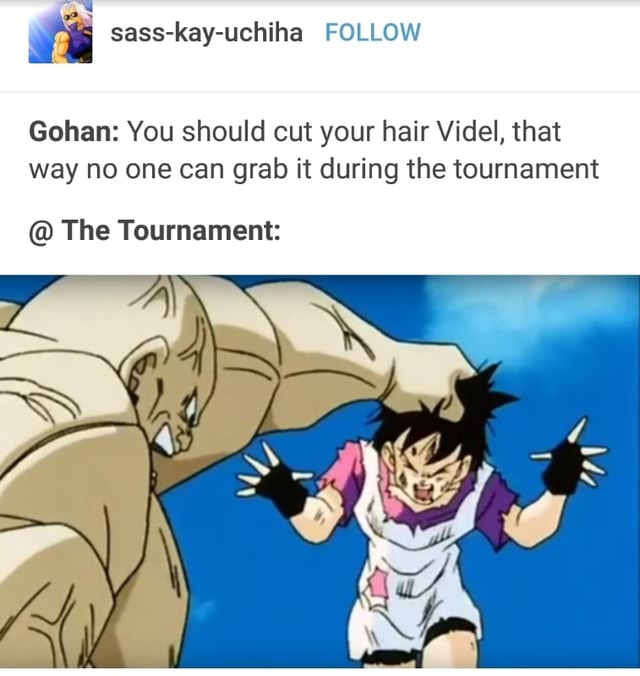 Gohan: You should cut your hair Videl, that way no one can grab it ...