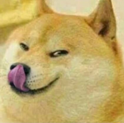 Doge reaction image - )