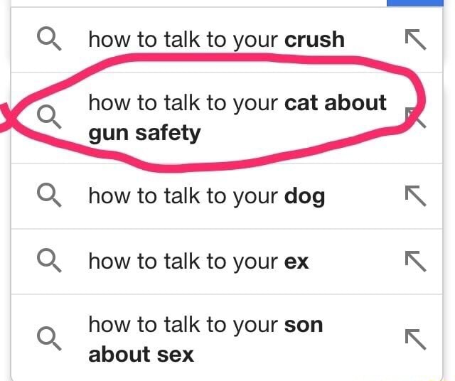 How To Talk To Your Son About Sex Q How To Talk To Your Crush R Q How To Talk To Your Cat About Gun Safety Q How To Talk To Your