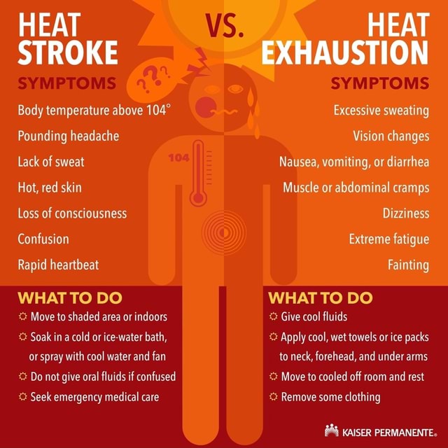 heat-stroke-symptoms-body-temperature-above-pounding-headache-lack-of