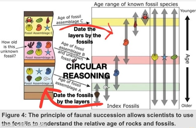 Age Range Of Known Fossil Species Younger Age Of Fossil Assemblage C ...