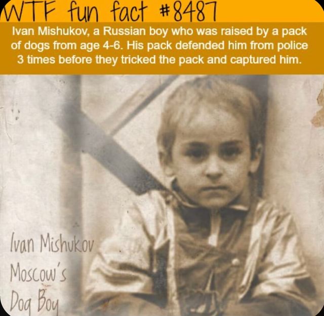 Tun tacr # Ivan Mishukov, a Russian boy who was raised by a pack of ...