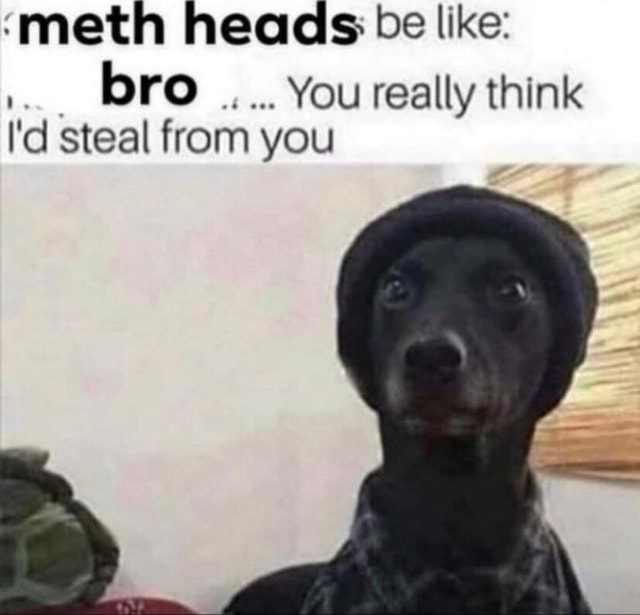 'meth heads De like: bro You really think I'd steal from you - iFunny