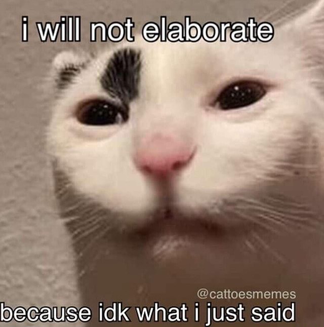 i-will-not-elaborate-cattoesmemes-because-idk-what-just-said-ifunny