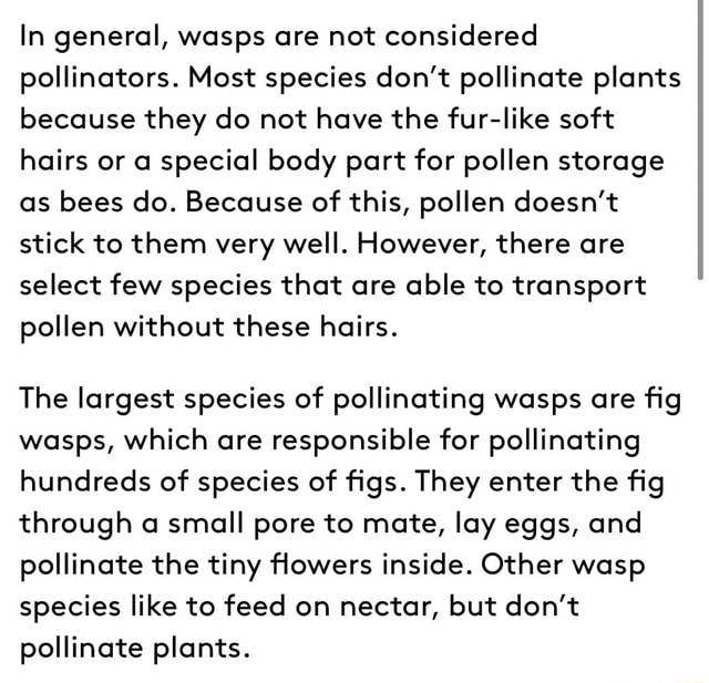 In general, wasps are not considered pollinators. Most species don't